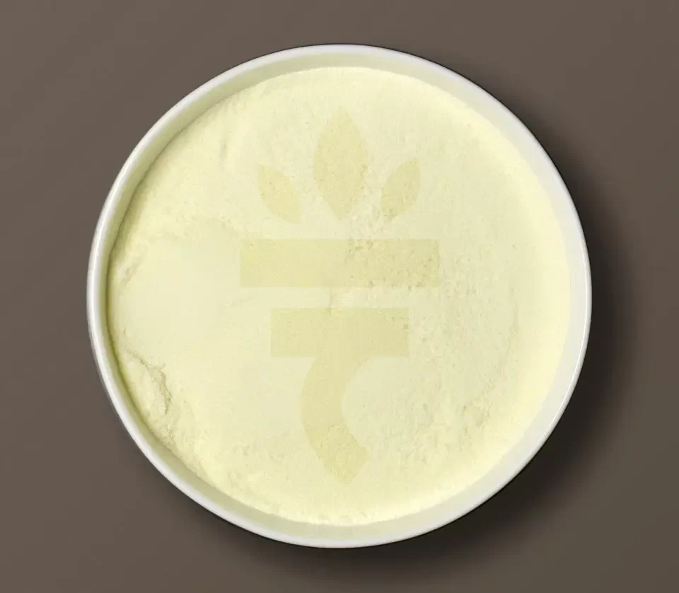 Γάλα Σκόνη Πλήρες INCO