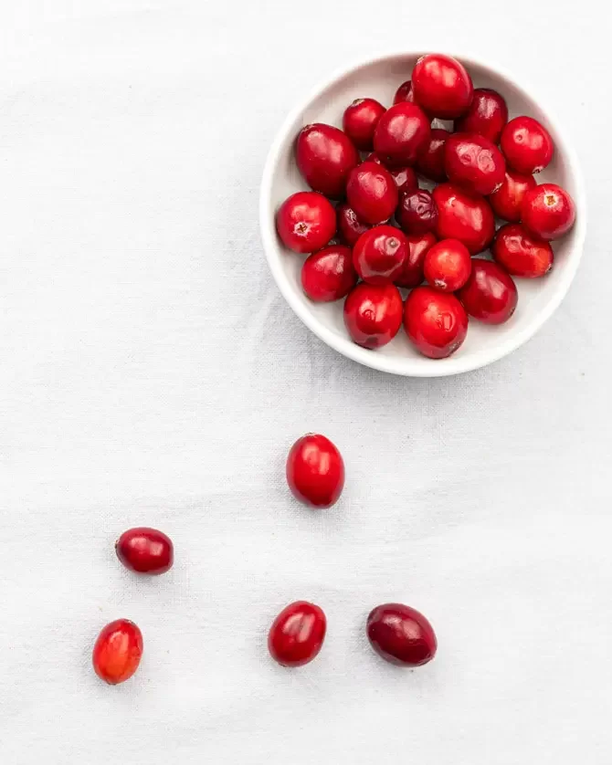 Cranberry, the Superfood that has gone viral
