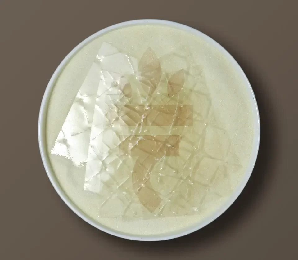 Gelatin Leaves