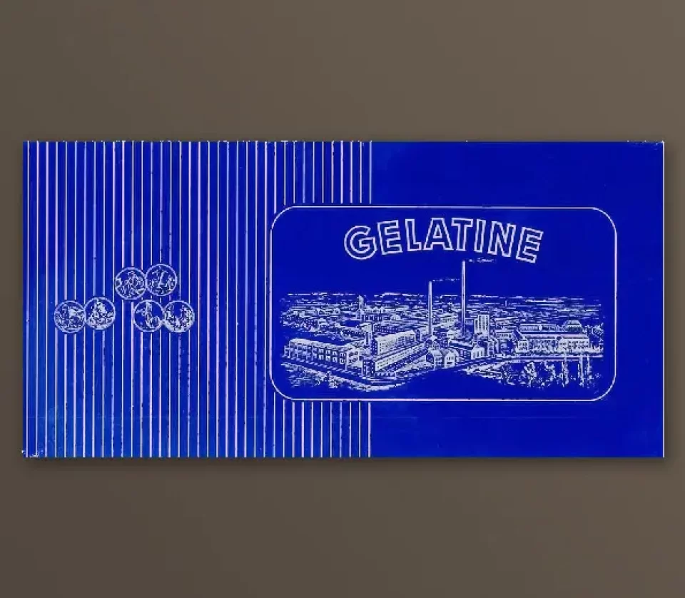 Gelatin Leaves