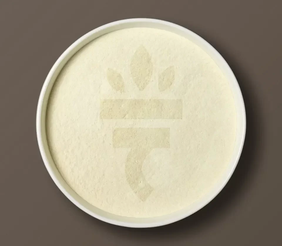 Dehydrated Onion Powder